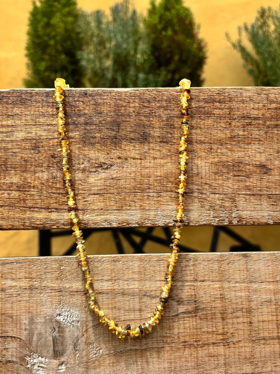 COLLAR MINI CHIP