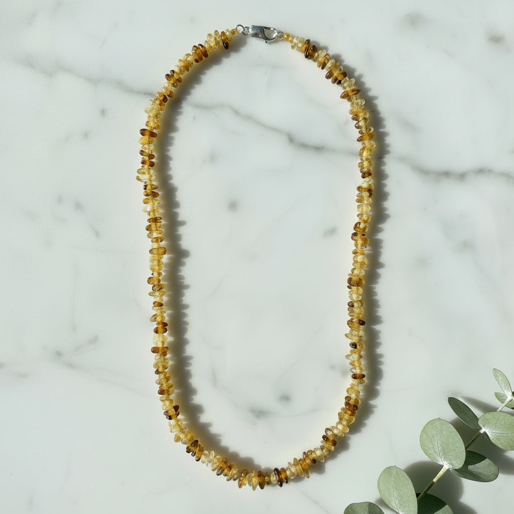 MINI CHIP COLLAR