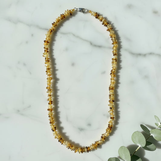 COLLAR MINI CHIP